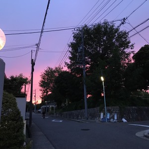 そろそろ夏支度、始めませんか？〜ガキさんの休日〜