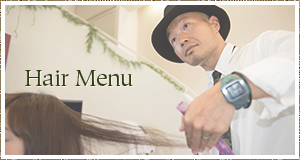 Hair Menu